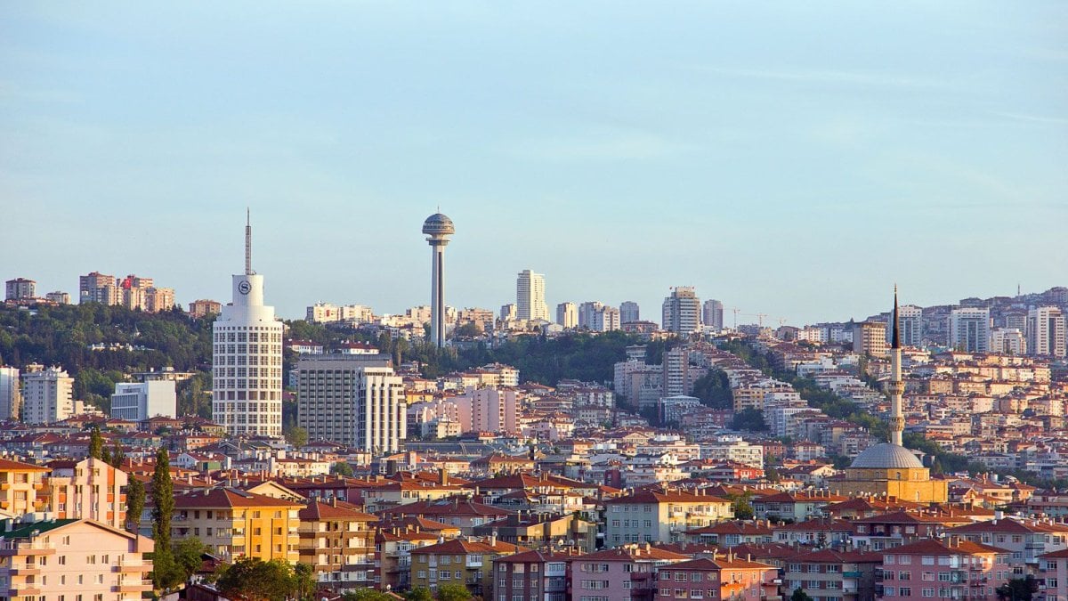 Ankara'nın Gururu: 'Yeşil Altın' Marketlerde Satışta, Dünya Onun Peşinde!