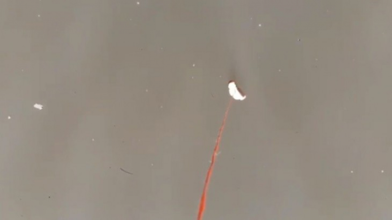 Jandarma balıklara drone ile ekmek bıraktı