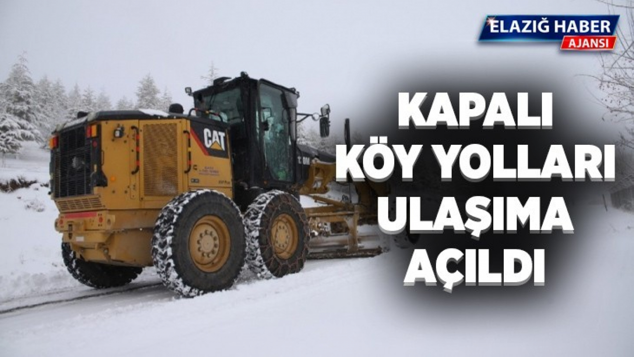 Kar nedeniyle kapanan 11 köy yolu ulaşıma açıldı