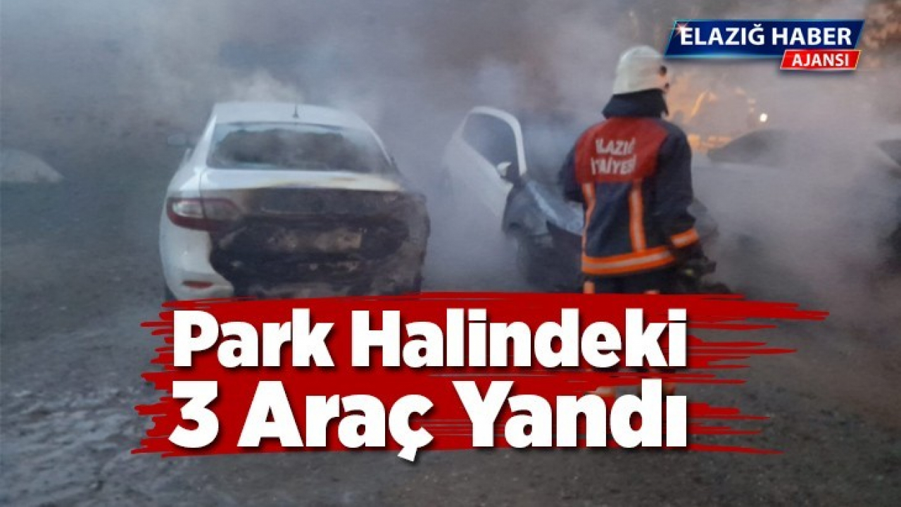 Elazığ'da park halindeki 3 araç yandı